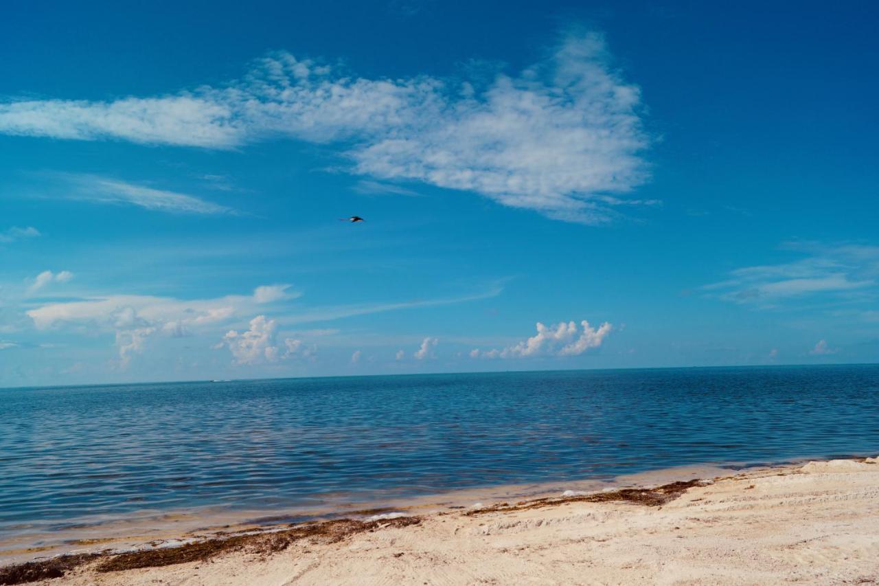 Deer Run On The Atlantic Bed and Breakfast Big Pine Key Buitenkant foto