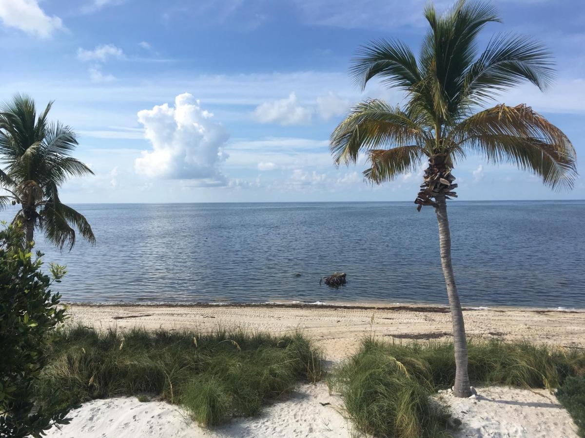 Deer Run On The Atlantic Bed and Breakfast Big Pine Key Buitenkant foto
